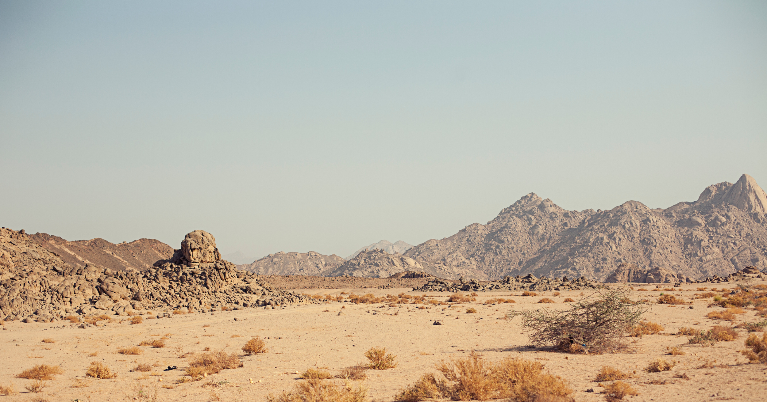 When God Goes Silent